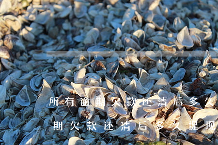 所有逾期欠款还清后多久提现结清-所有逾期欠款还清后多久提现结清呢