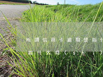 所謂信用卡逾期是指什么(所謂信用卡逾期是指什么時(shí)間)