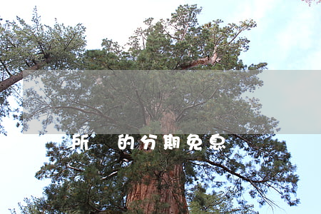 所謂的分期免息