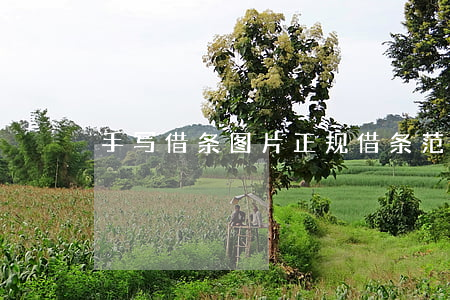 手写借条图片(正规借条范本图片 手写)