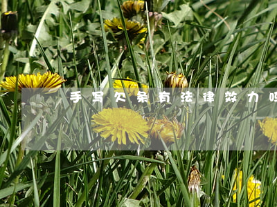 手写欠条有法律效力吗
