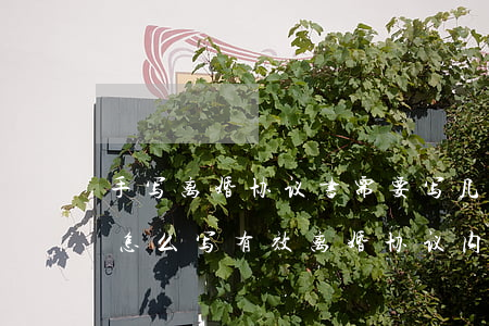 手写离婚协议书需要写几份(手写离婚协议书怎么写有效,离婚协议内容)