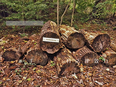 手寫遺囑有法律效力嗎