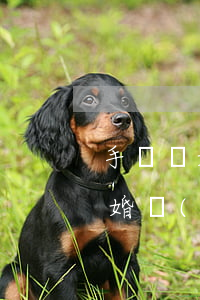 手寫離婚協(xié)議書如何生效(手寫離婚協(xié)議書怎么寫有效)