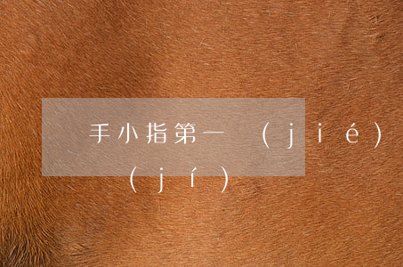 手小指第一節(jié)骨折工傷鑒定為幾級(jí)