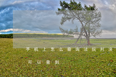 手机上怎么查询法院判决书(法院判决书哪儿可以查到)