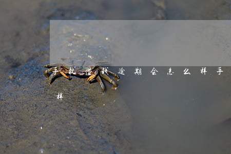 手机借钱逾期会怎么样（手机借款逾期会怎么样）