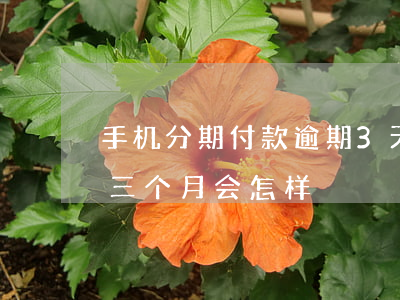 手机分期付款逾期3天-手机分期付款逾期三个月会怎样