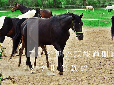 手机分期还款能逾期吗(手机分期逾期过还能办分期付款吗)