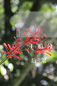 手机分期逾期10天(分期手机逾期十天还款后果)