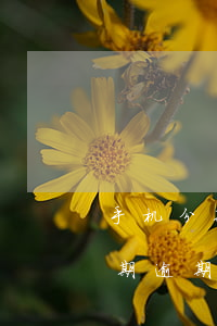 手机分期逾期和办信用卡有关系吗吗（手机分期逾期和办信用卡有关系吗）