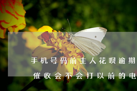 手机号码前主人花呗逾期(花呗逾期换手机号催收会不会打以前的电话)