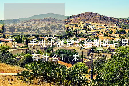 手机小额贷款逾期的后果(小额贷款逾期了会有什么后果)