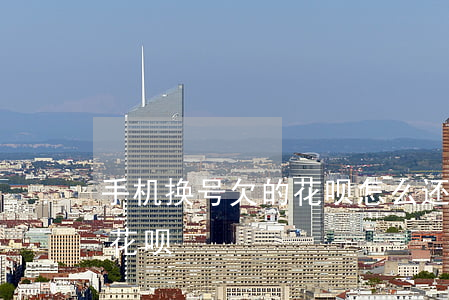 手机换号欠的花呗怎么还(手机号换了如何还花呗)