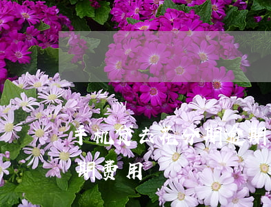 手机贷去花分期逾期费用(手机贷去花分期逾期费用)
