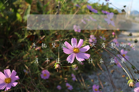 手机贷逾期一天有影响吗(手机贷款逾期一个月不还会有什么后果)