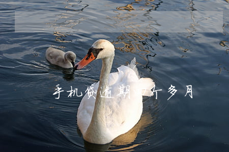 手机贷逾期四个多月