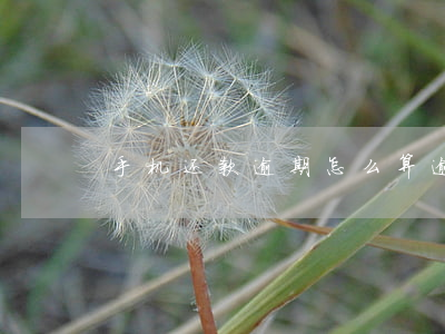手机还款逾期怎么算(逾期还款利率怎么算)