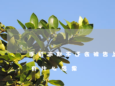 手机逾期不还会被告上法院吗(手机逾期不还有什么后果)