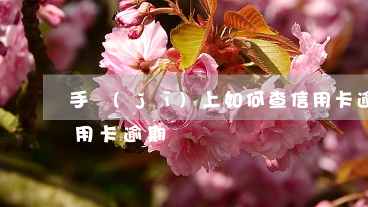 手機(jī)上如何查信用卡逾期(怎樣查信用卡逾期)
