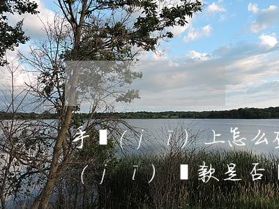 手機(jī)上怎么查還款逾期(怎樣查手機(jī)貸款是否還完)