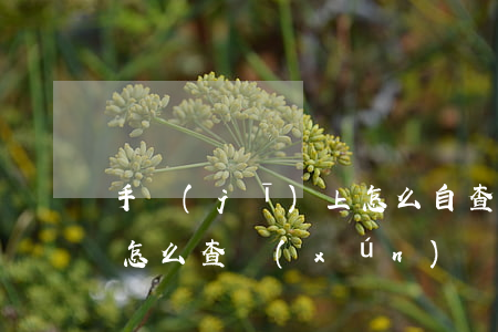 手機(jī)上怎么自查貸款逾期(貸款逾期怎么查詢(xún))