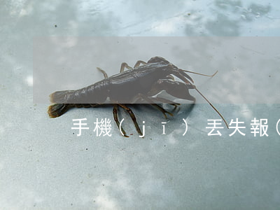 手機(jī)丟失報(bào)警有用嗎