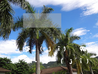 手機(jī)丟失導(dǎo)致信用卡逾期-手機(jī)丟失導(dǎo)致信用卡逾期