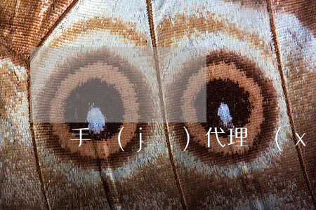 手機(jī)代理銷(xiāo)售合同