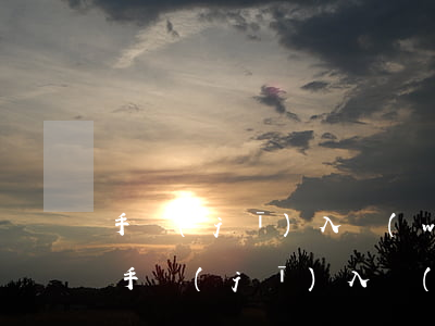 手機(jī)入網(wǎng)許可證查詢，手機(jī)入網(wǎng)許可證查詢網(wǎng)站