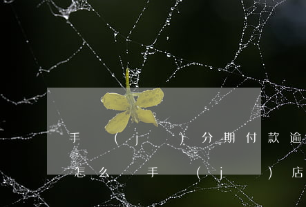 手機(jī)分期付款逾期了會(huì)怎么樣（手機(jī)店分期逾期能做嗎）