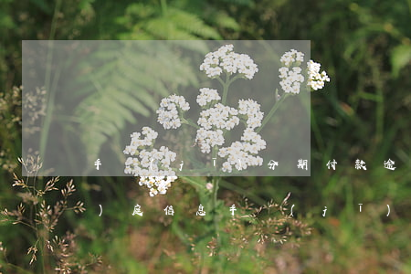 手機(jī)分期付款逾期收到開(kāi)庭信息(手機(jī)分期逾期多久會(huì)被告)
