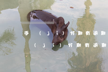 手機(jī)分期有逾期能不能辦信用卡(手機(jī)分期有逾期能不能辦信用卡)