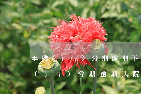 手機(jī)分期逾期下傳票是真的嗎(手機(jī)分期逾期法院傳票到老家了是真的嗎)