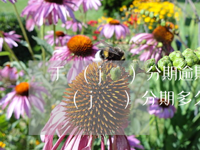 手機(jī)分期逾期十個(gè)月-手機(jī)分期多久算逾期