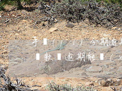 手機(jī)分期逾期可以協(xié)商還款嗎(逾期能協(xié)商分期還款嗎)