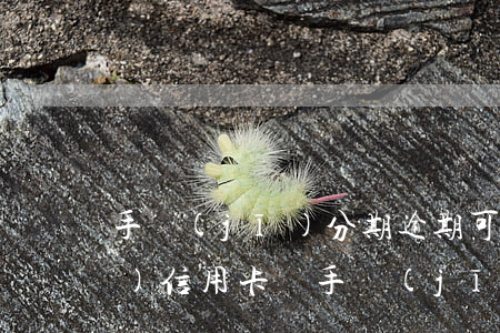 手機(jī)分期逾期可以申請(qǐng)信用卡嗎(手機(jī)分期逾期可以申請(qǐng)信用卡嗎)