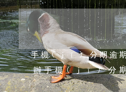 手機(jī)分期逾期四個(gè)月怎么辦(手機(jī)分期逾期3年了現(xiàn)在如何還款?)