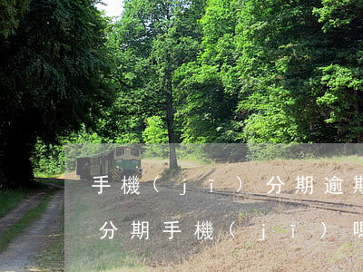手機(jī)分期逾期在哪還款(逾期過還能分期手機(jī)嗎)