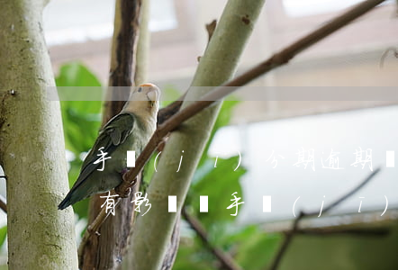 手機(jī)分期逾期對(duì)信用卡有影響嗎(手機(jī)分期嚴(yán)重逾期的后果)
