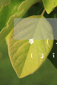 手機(jī)分期逾期收到訴前通知單 手機(jī)分期逾期三年被起訴