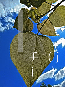 手機(jī)分期逾期有什么后果-手機(jī)分期還款逾期一個月有什么后果
