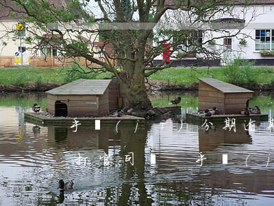 手機(jī)分期逾期未還款會(huì)打官司嗎-手機(jī)分期付款逾期不還了后果會(huì)怎么樣