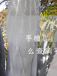 手機(jī)分期逾期查詢個(gè)人 怎么查詢手機(jī)分期還款記錄