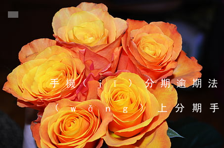 手機(jī)分期逾期法院通知真的假的（網(wǎng)上分期手機(jī)逾期收到律師函）