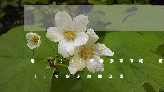 手機(jī)分期逾期法院開庭6(手機(jī)分期逾期能立案嗎)
