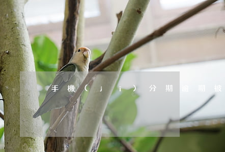 手機(jī)分期逾期被起訴