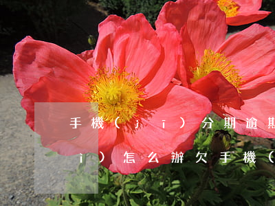 手機(jī)分期逾期被起訴法院會(huì)怎么辦(欠手機(jī)分期會(huì)被起訴嗎)