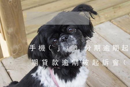 手機(jī)分期逾期起訴(手機(jī)分期貸款逾期被起訴會(huì)怎樣)