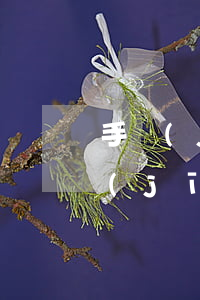 手機(jī)分期逾期辦得了信用卡嗎(手機(jī)分期逾過(guò)期還能辦理嗎)